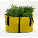 Blooming Walls Canada The Green Bag Plant Bag - Medium - Yellow