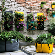 Blooming Walls Canada - The Green Pockets and The Green Bags colourful planting bags for the urban gardener
