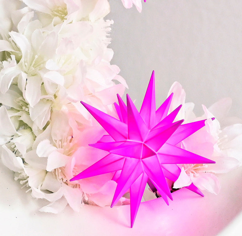 Gingerbread World Herrnhuter Stars Canada - Special Edition Star of the Year 2025 - Mini Violet