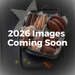 Gingerbread World Lebkuchen Schmidt Canada - Small Elisen Parcel 50212