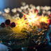 Gingerbread World Herrnhuter Stars Canada - Moravian Advent Stars