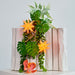 Gingerbread World Herrnhuter Sterne Canada - Herrnhuter Moravian Advent Star Lantern - 2026 Star of the year Apricot