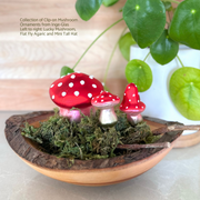 Gingerbread World Inge-Glas Blown Glass Ornament – Clip On Mushroom Ornaments for Good Luck