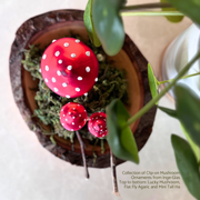 Gingerbread World Inge-Glas Blown Glass Ornament – Clip On Mushroom Ornaments for Good Luck