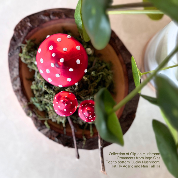 Gingerbread World Inge-Glas Blown Glass Ornament – Clip On Mushroom Ornaments for Good Luck