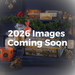 Gingerbread World Lebkuchen Schmidt Canada - Nuremberg Gift Chest 50516