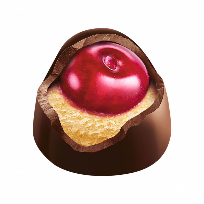 Niederegger Lübeck Marzipan Cherry Pralines gift box with six dark chocolate-covered cherry pralines made in Germany.