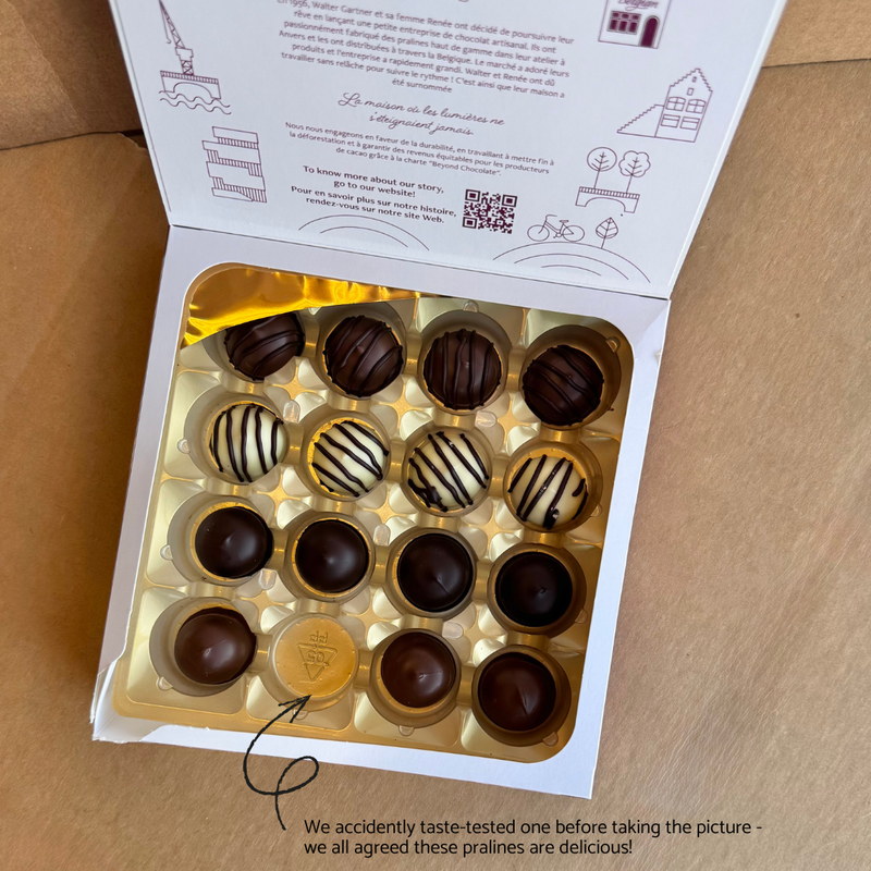 The Belgian Chocolate Assorted Pralines Gift Box featuring 16 assorted Belgian milk, dark, and white chocolate pralines in an elegant 400 g gift box.