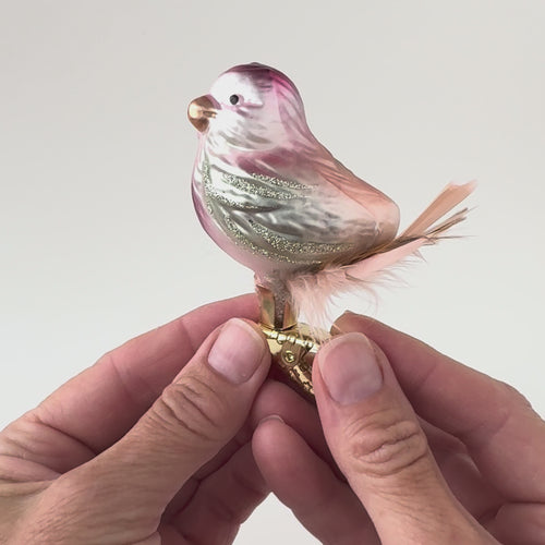 Gingerbread World Inge-Glas Canada - Blown Glass Ornament - Gentle Feathers Clip-on Bird 10081S024