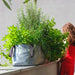 Blooming Walls Canada The Green Block Plant Bag - Large - Grey filled with grasses and herbs on balcony