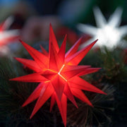 European Ware Haus by Gingerbread World Herrnhuter Stars Canada Small Star Red