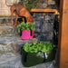 Blooming Walls Canada The Green Block Plant Bag - Medium - Olive Green shown with pink Small Green Bag