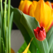 Gingerbread World Wendt Kuehn Blumenkinder - Boy with Tulip 5248-23