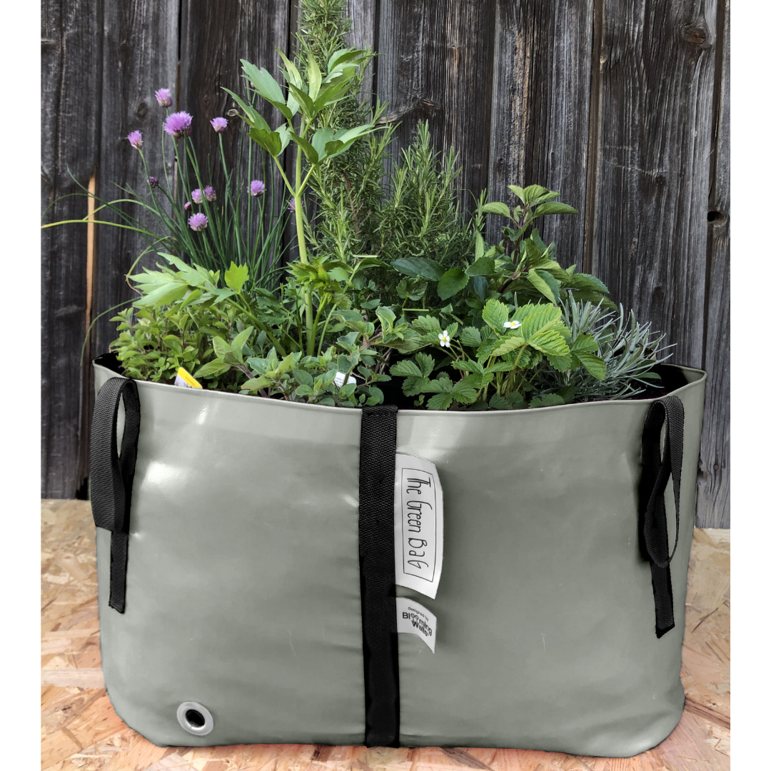 Green Bags® Colourful & Versatile Plant Bags for the Urban