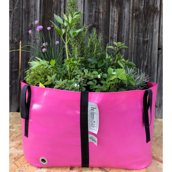 Blooming Walls Canada The Green Bag Plant Bag - Large - Pink