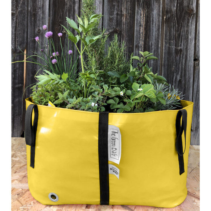 Blooming Walls Canada The Green Bag Plant Bag - Large - Yellow