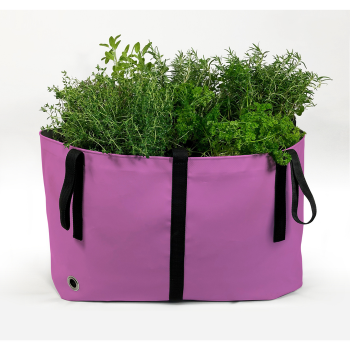 Blooming Walls Canada The Green Bag Plant Bag - Medium - Pink