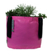 Blooming Walls Canada The Green Bag Plant Bag - Pink
