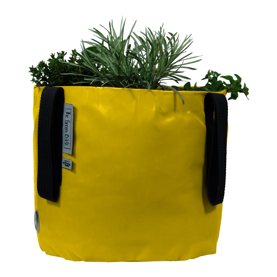 https://gingerbread-world.com/cdn/shop/products/BloomingWallsCanadaTheGreenBagPlantBag-Yellow_1200x1200.png?v=1612745230