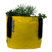 Blooming Walls Canada The Green Bag Plant Bag - Yellow