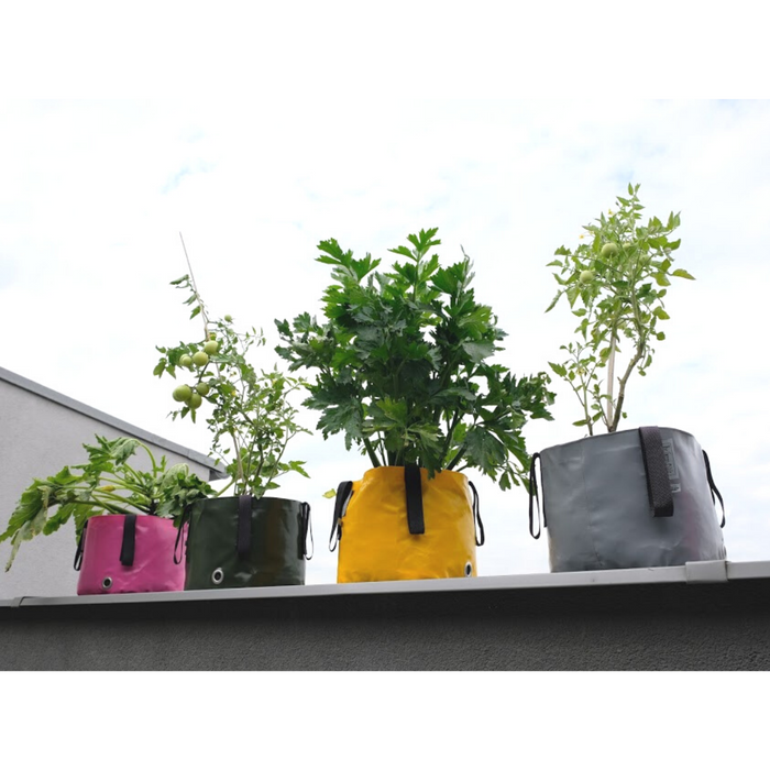 Blooming Walls Canada The Green Bag Plant Bags growing flowers vegetables fruits and herbs - 4 colours available