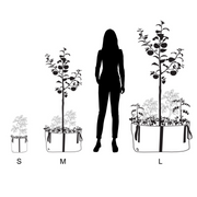 Blooming Walls Canada The Green Bags Plant Bags - Size Comparison Chart