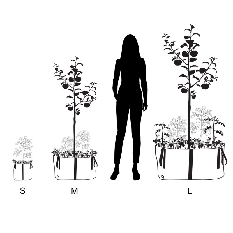 Blooming Walls Canada The Green Bags Plant Bags - Size Comparison Chart