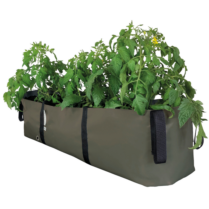 Blooming Walls Canada The Green Block Plant Bag - Large - Olive Green