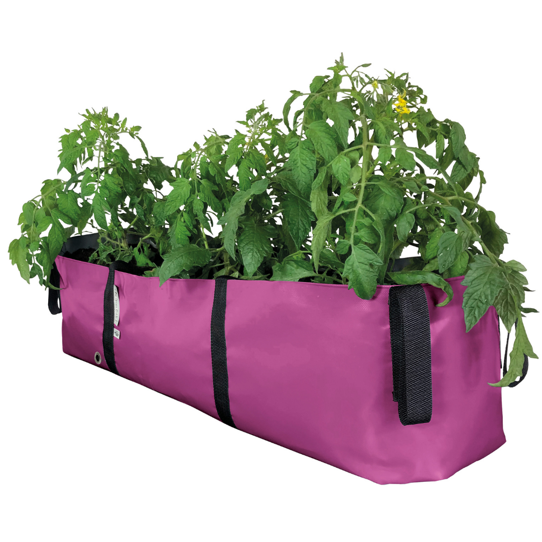 https://gingerbread-world.com/cdn/shop/products/BloomingWallsCanadaTheGreenBlockPlantBag-Large-Pink_1200x1200.png?v=1612760558