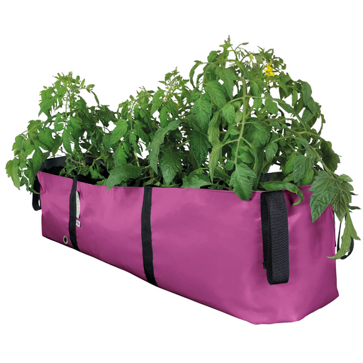 Blooming Walls Canada The Green Block Plant Bag - Large - Pink