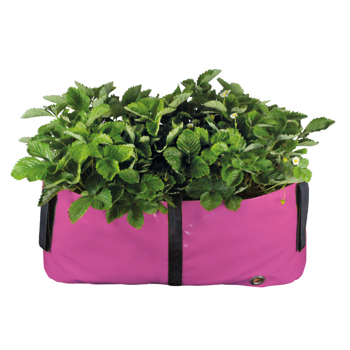 Green Blocks® Colourful & Versatile Plant Bags for the Urban Green Blocks® Colourful & Versatile Plant Bags for the Urban