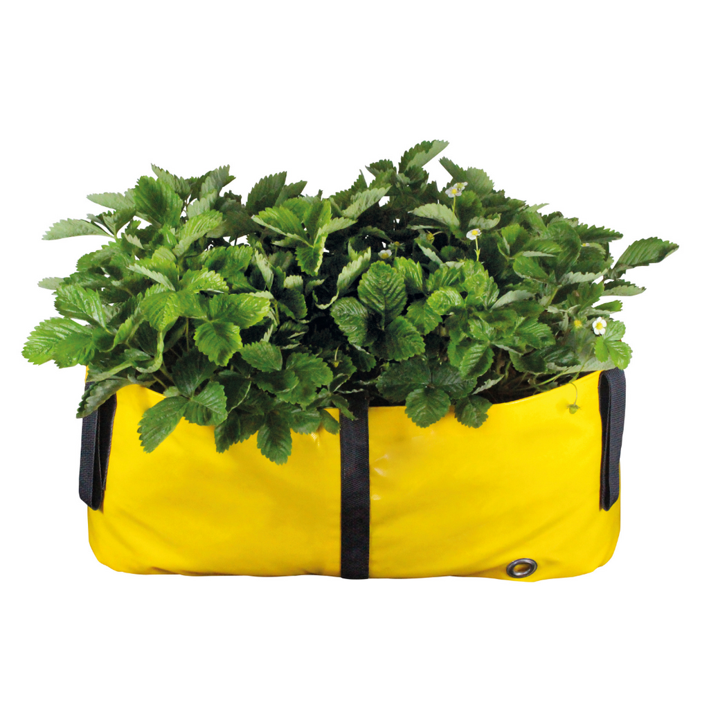 Green Bags® Colourful & Versatile Plant Bags for the Urban Gardener —  Gingerbread World