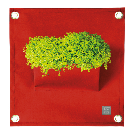 Blooming Walls Canada The Green Pockets Hanging Planter - Dark Red