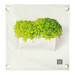 Blooming Walls Canada The Green Pockets Hanging Planter - White