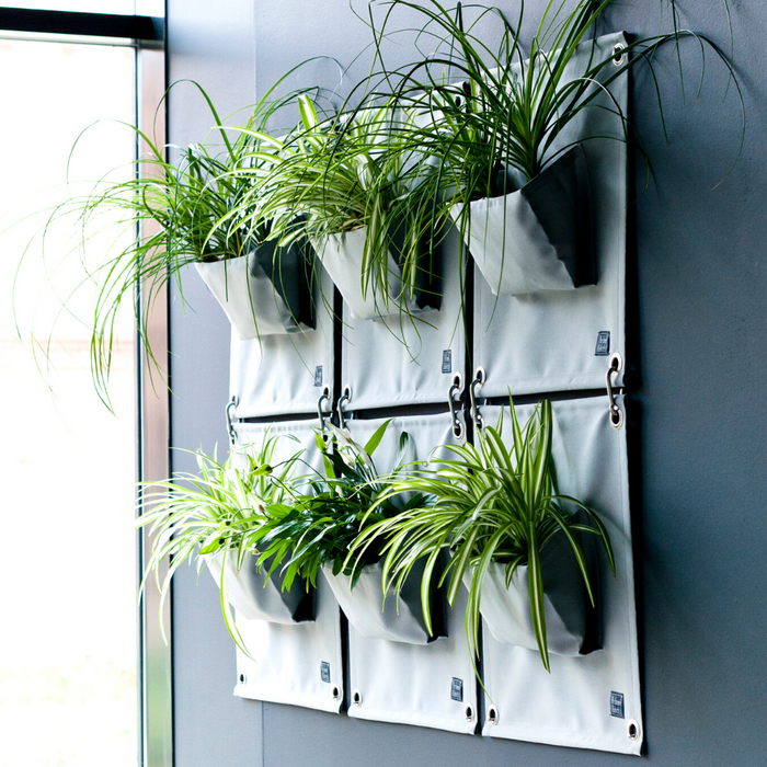 hanging pockets for plants Green Pockets® Hanging Plant Bag. Bring Colour & Greenery inside & out — Gingerbread World