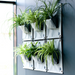 Blooming Walls Canada The Green Pockets Hanging Planters on indoor wall - all one colour