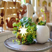 Gingerbread World Herrnhuter Stars Canada - Herrnhuter Moravian Star, Mini Star - White