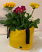 Blooming Walls Canada The Green Bag Plant Bags - Small Yellow Bag with flowers