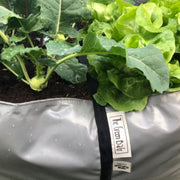 Blooming Walls Canada - The Green Bag UV resistant and waterproof material
