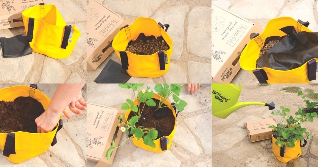 Blooming Walls Canada The Green Bag Plant Bags - How to Use