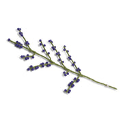 Gingerbread World European Market - Gry and Sif Felted Wool Berry Branch - Blue Berries on Green Branch 10113