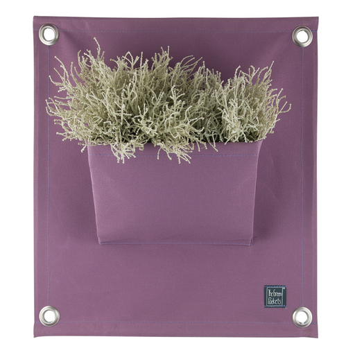 Blooming Walls Canada The Green Pockets Hanging Planter - Lavender